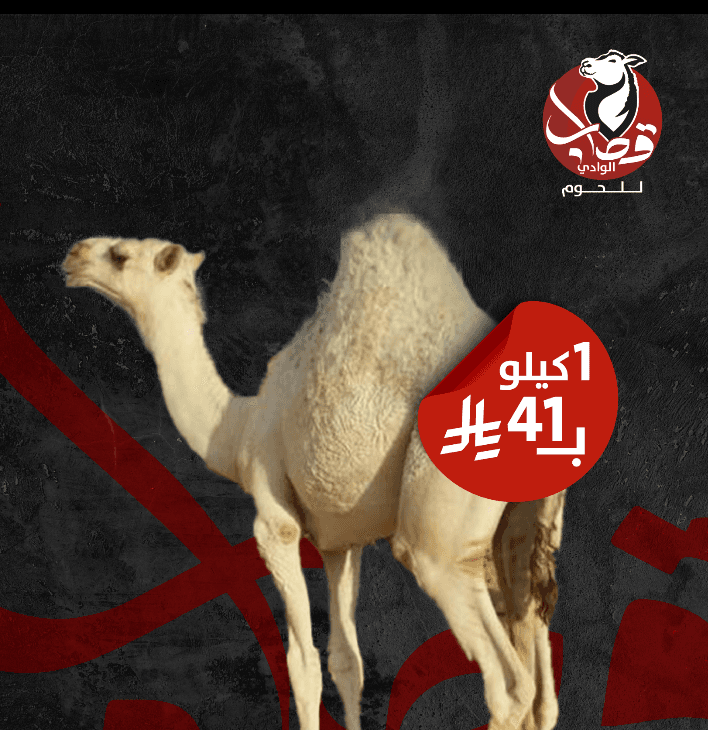 عرض حاشي 